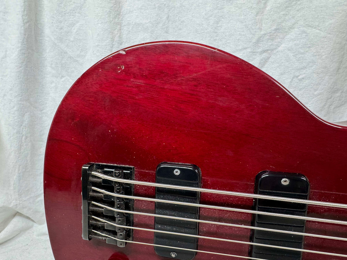 Gibson LPB-5 lpb5 Les Paul Bass 5-string Bass with Case 1993