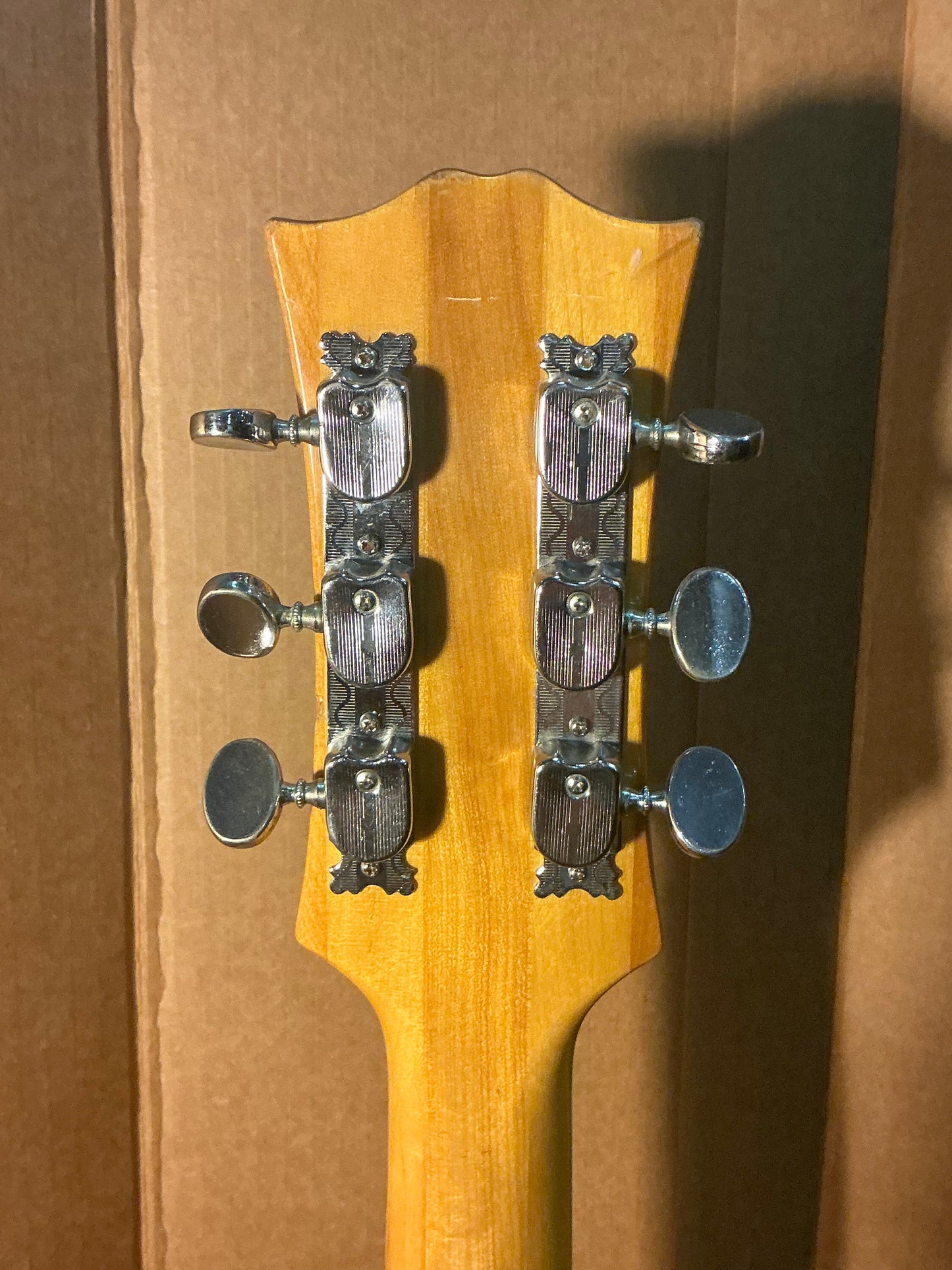 Aria 5102T Semi-Hollow Electric Guitar