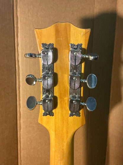 Aria 5102T Semi-Hollow Electric Guitar